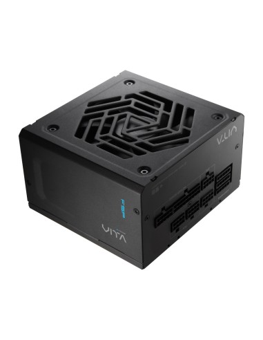 Fuente Alimentacion Fsp Vita 1000 Gm 85+g 1000w F-modular Atx3.1 Gen5 Retail