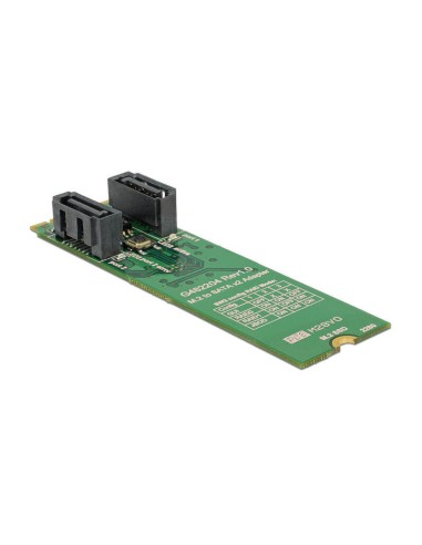 Delock 62961 Convertidor M.2 Clave B+m Macho   2 X Sata 7 Pines Macho Con Raid