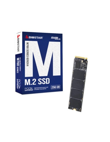 Dysk Ssd Biostar M760 256gb