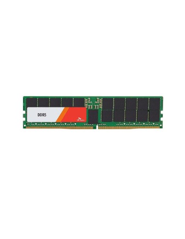 Memoria Hynix 48 Gb Reg. Ecc Ddr5-4800 Hmcgy8mebrb