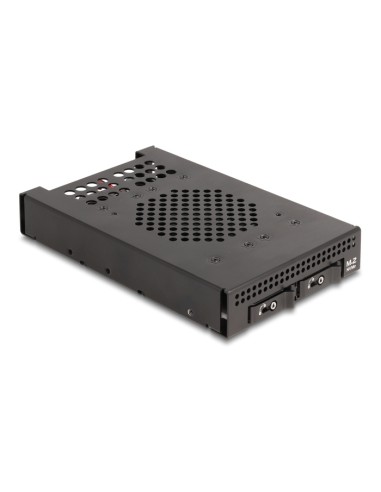 Delock 47117 Rack Móvil De 3.5" Para 2 X Ssd M.2 Nvme Con Conector Slim Sas Sff-8654 Delgado