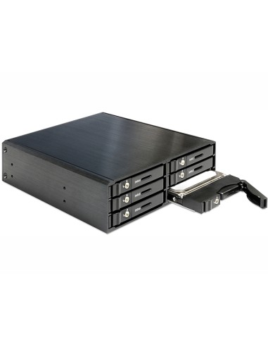 Delock Bastidor Móvil De 5.25" Para 6 X Hdd / Ssd Sata 2.5"