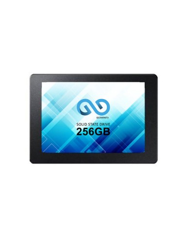 Ssd Go-infinity 256gb 2.5" Ssd Sata Iii Bulk