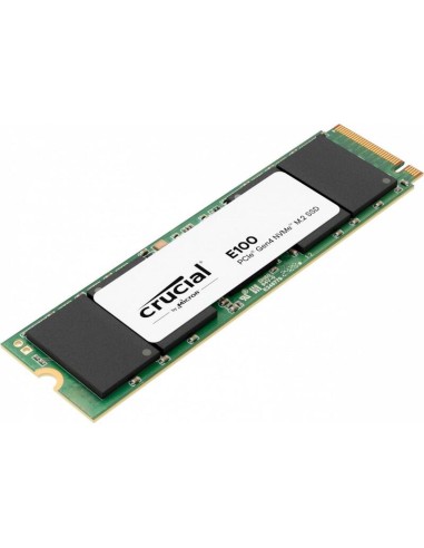 Dysk Ssd E100 480gb M.2 Nvme 2280 Pcie 4.0 4700/2500 Mb/s