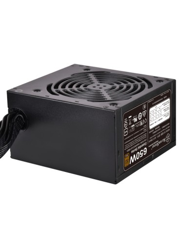 Fuente De Alimentación Silverstone 650w Sst-et650-b V1.4 650w