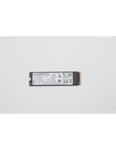 Lenovo 5ss0v26441 Unidad De Estado Sólido M.2 256 Gb Pci Express 3.0