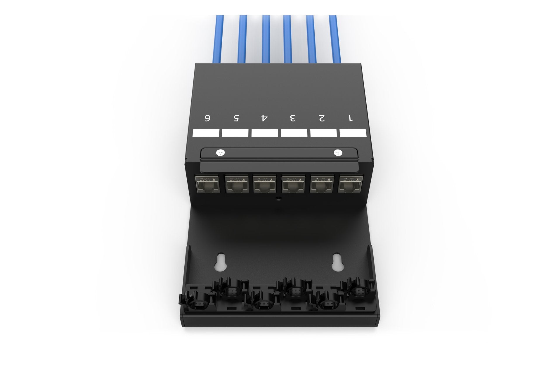 Digitus Consolidation Point Box, 6-Port Keystone Modules With Intelligent Cable Manager, Black