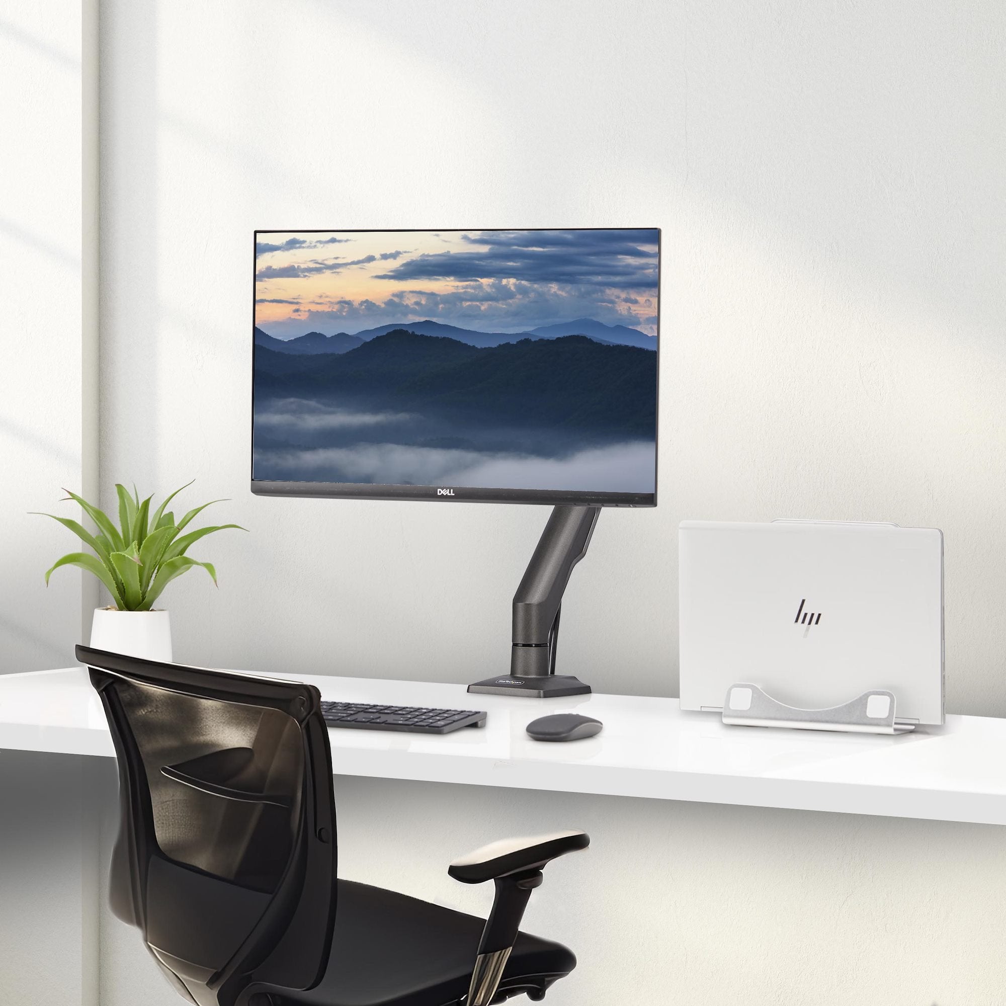 Soporte De Sobremesa Para Monitor De Hasta 32  - Taa