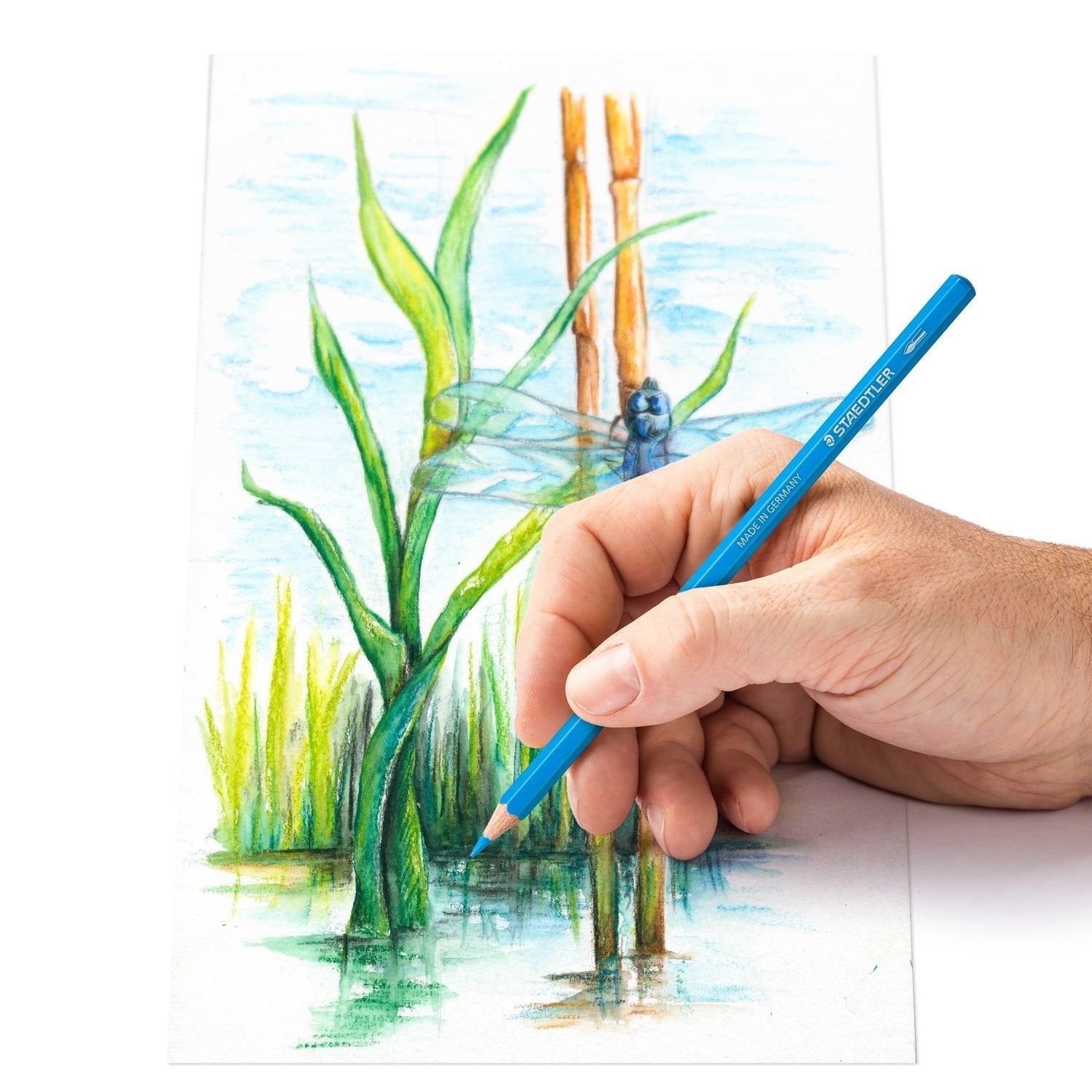 Staedtler Lápices De Colores Desing Journey 146c En Estuche De Metal De 12