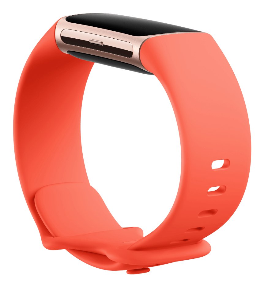 EAN 0840353901124 - Fitbit Charge 6 AMOLED Pulsera de actividad Champán, Oro imagen 3
