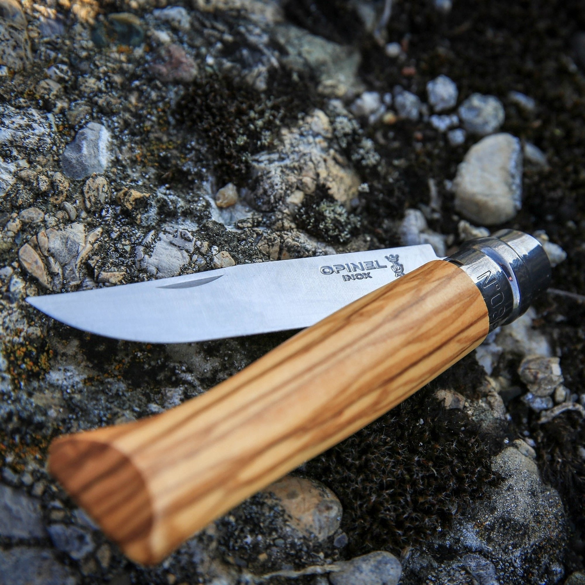 Opinel No. 08 Olive Wood + Sheath In Pencil Box