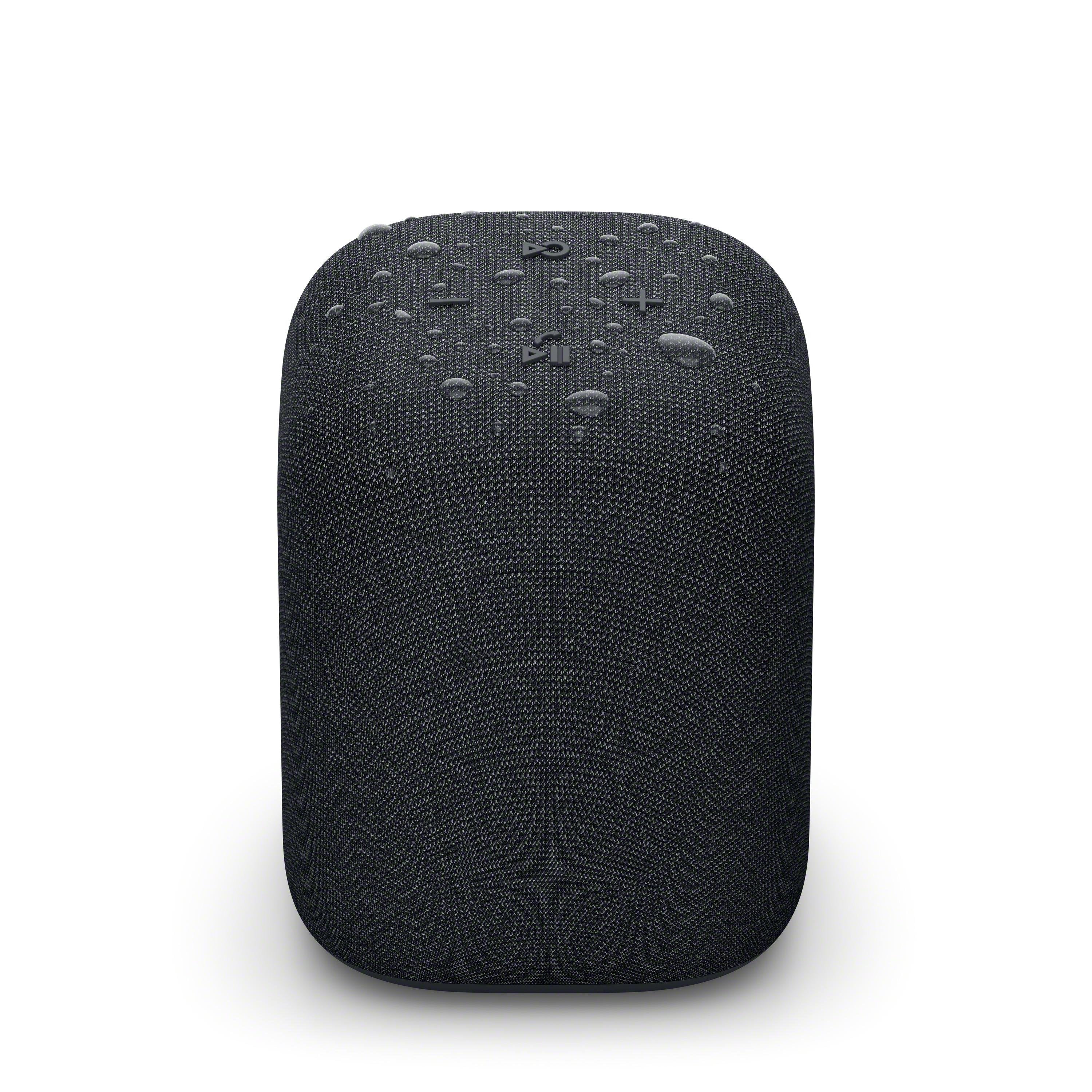 Sony Srs-Ls1 Black Linkbuds Speaker Altavoz Portátil Inalámbrico