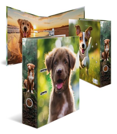 Herma Ordner A4 Karton Hund