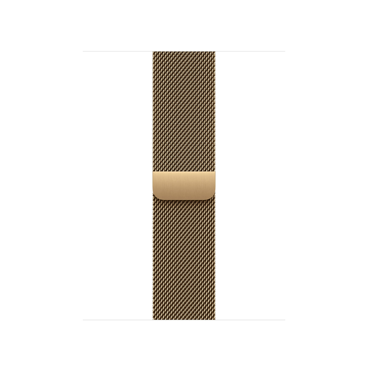 Correa Milanesa En Color Zywego Dorada Para Caja 40 Mm