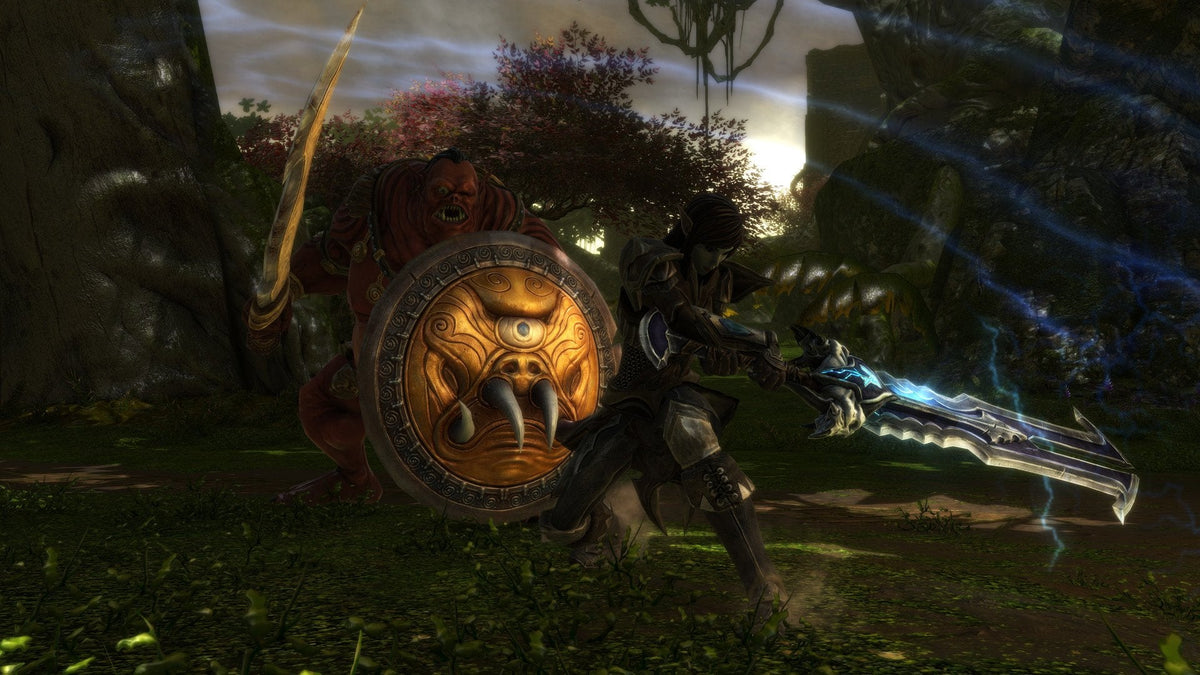 Juego Kingdoms Of Amalur Re-Reckoning Switch