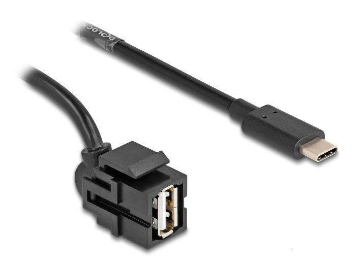 Delock 88057 Módulo Keystone Usb 2.0 A Hembra > Usb Type-C Macho 250° Con Cable 1,5 M