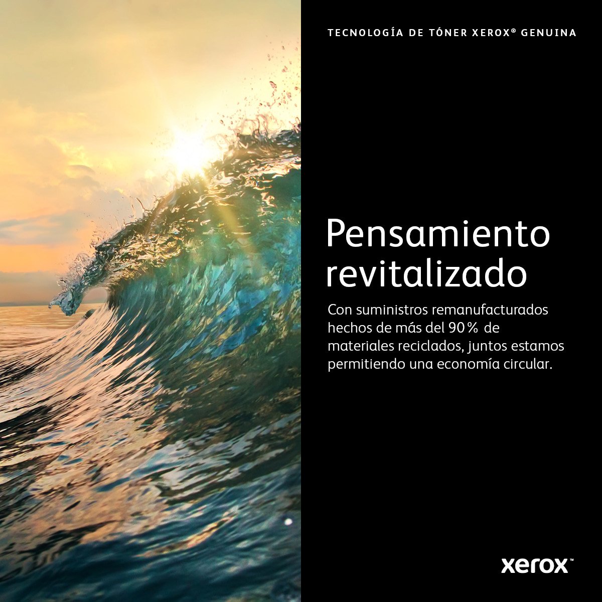 EAN 0095205507744 - Xerox 106R02740 cartucho de tóner 1 pieza(s) Original imagen 10