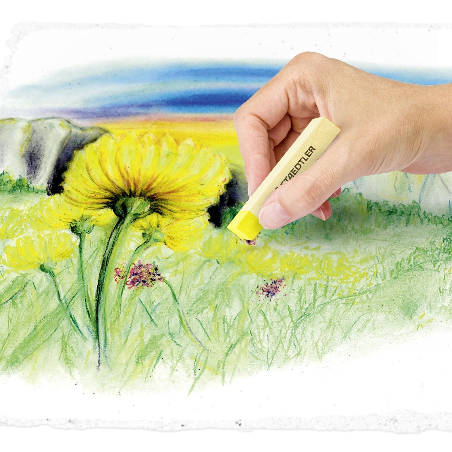 EAN 4006608201876 - Staedtler 2430 36 pieza(s) imagen 4