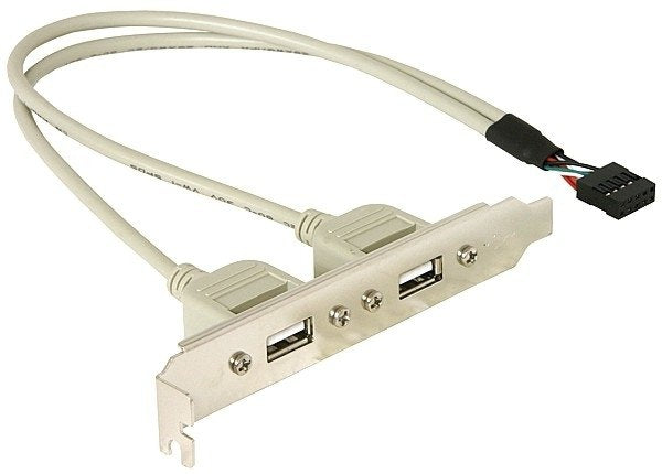 Delock Slot Bracket 2xusb 2.0 Cable 0.30m