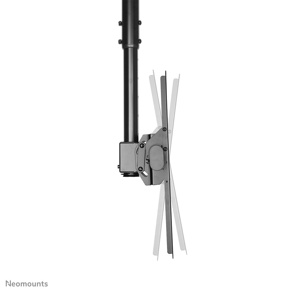 Newstar Soporte De Techo Para Tv