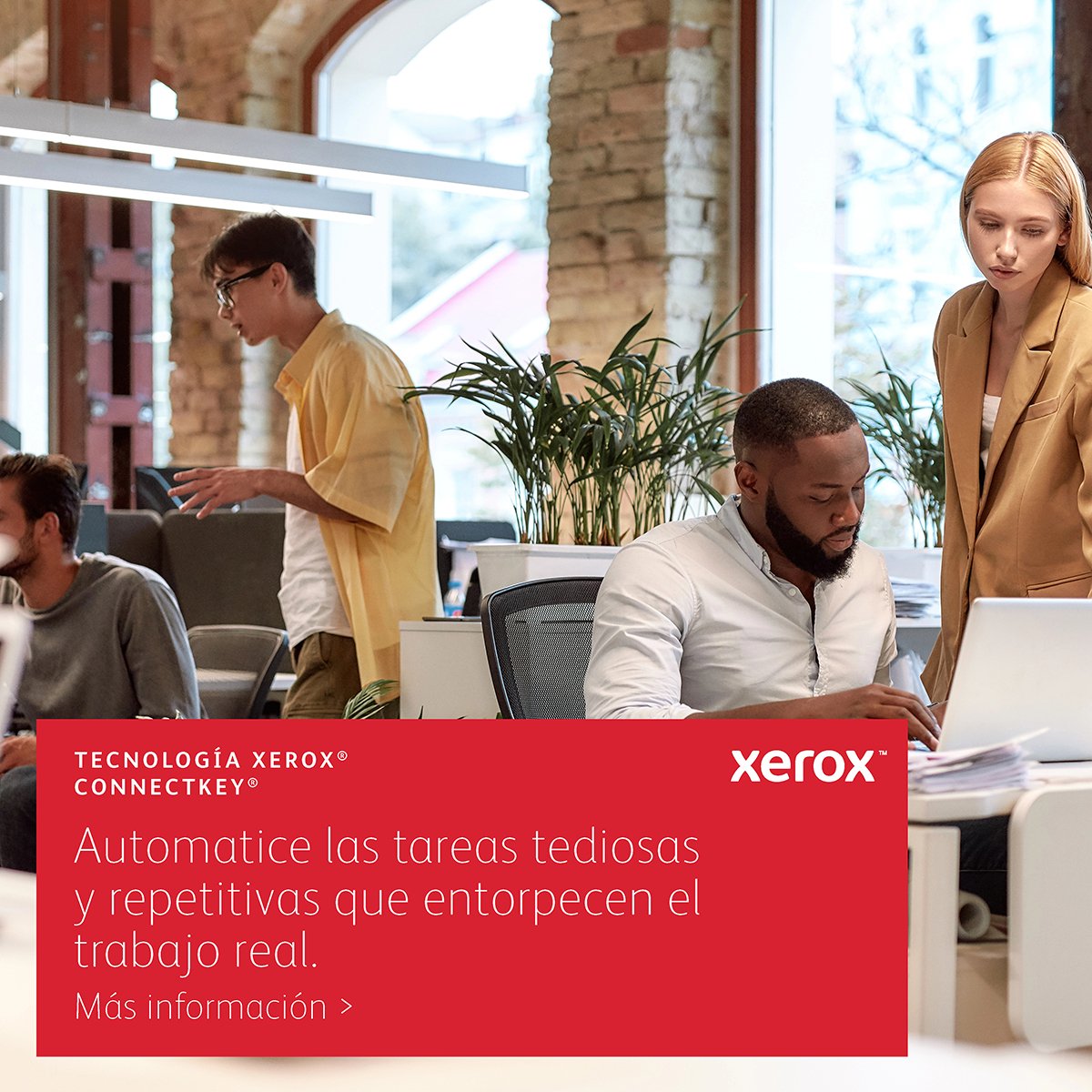 EAN 95205040876 - Xerox VersaLink B625V_DN impresora multifunción Laser 1200 x 1200 DPI 65 ppm imagen 9