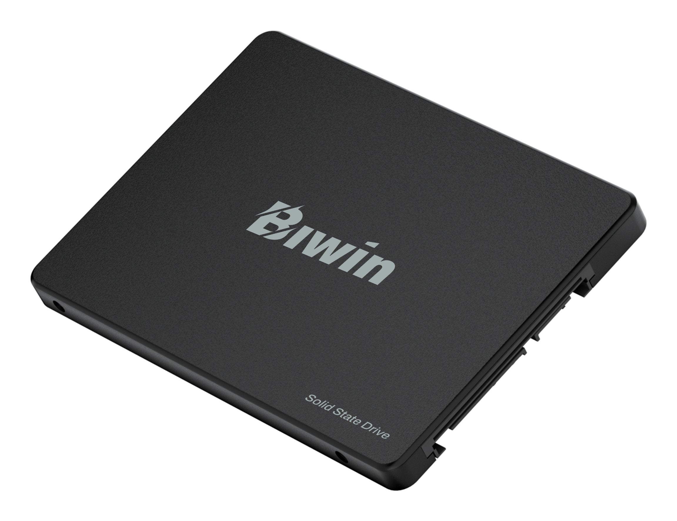 EAN 0887184025292 - Biwin M100 256 GB 2.5" Serial ATA III imagen 3