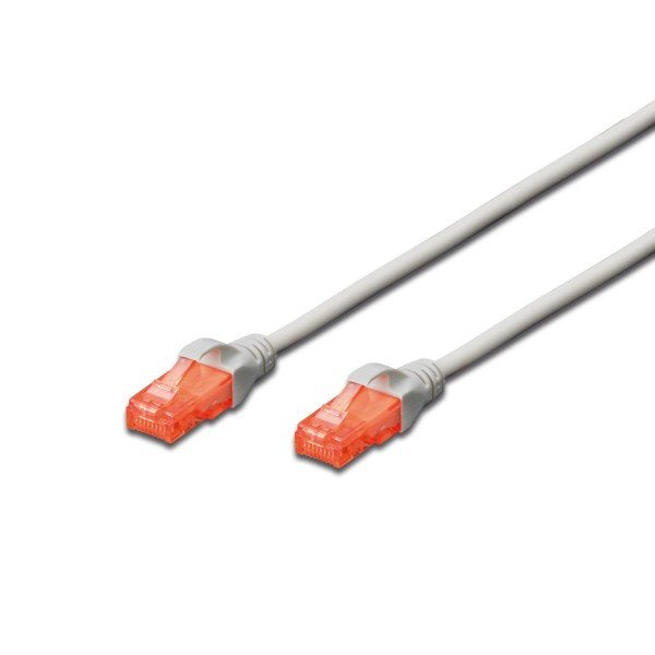 EAN 8032958189010 - Ewent IM1006 cable de red Gris 1 m Cat6 U/UTP (UTP) imagen 1