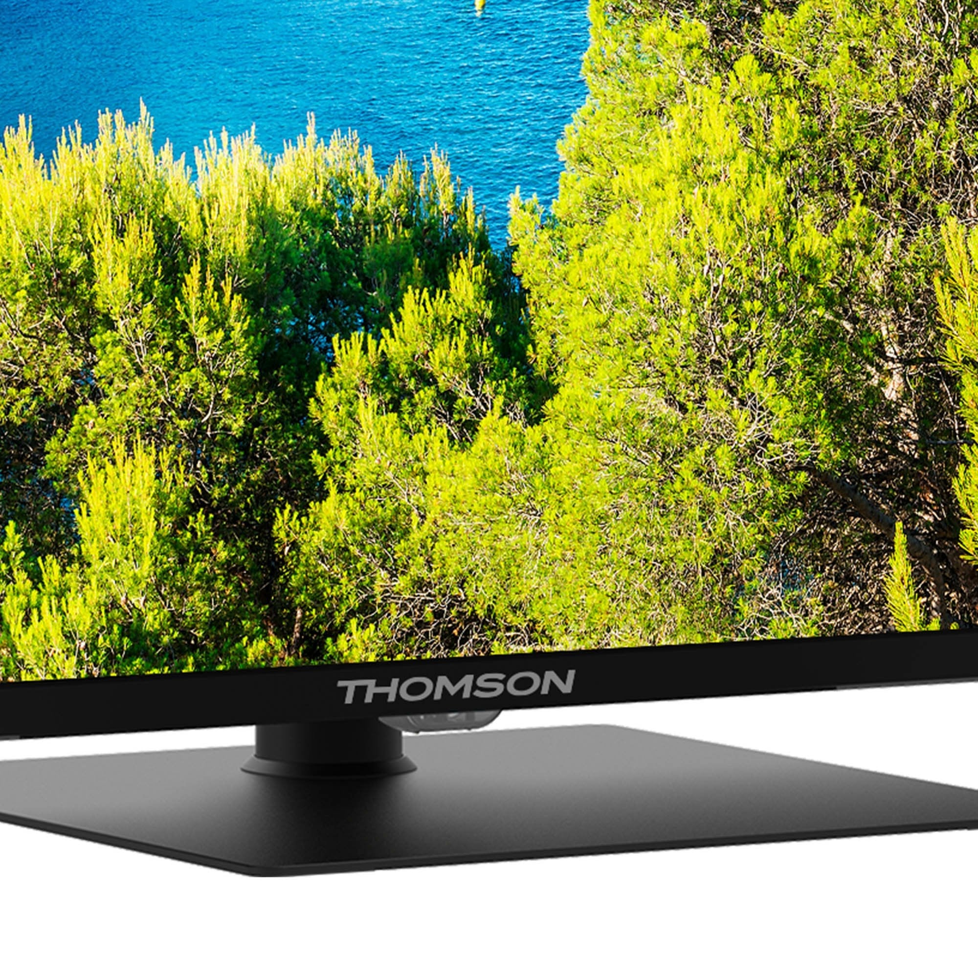 Thom - Thomson Google Tv 55" Uhd