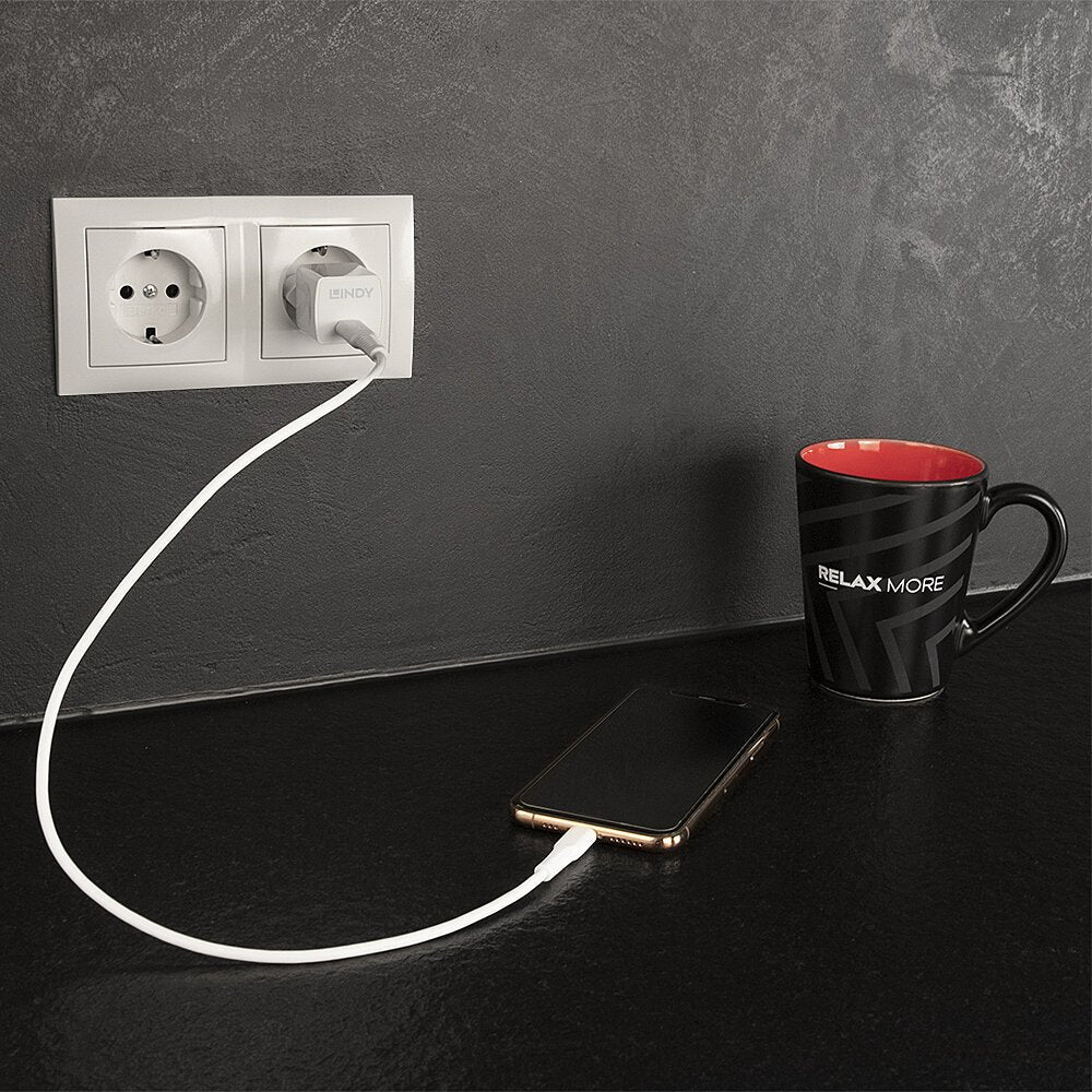 Cargador Lindy Usb Tipo C Pd 20w