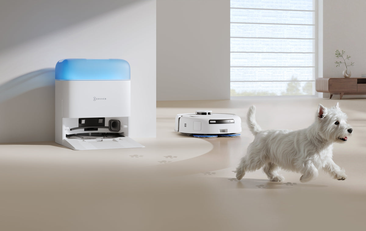 Ecovacs Deebot Mini 2 Vacuum Cleaner,Robot,Wet&Dry,Compact Design,White+Auto-Empty Station