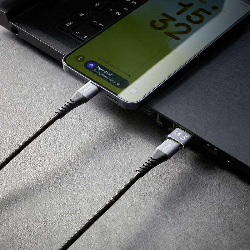 EAN 4034303038060 - Intenso 7600013 cambiador de género para cable Antracita imagen 6