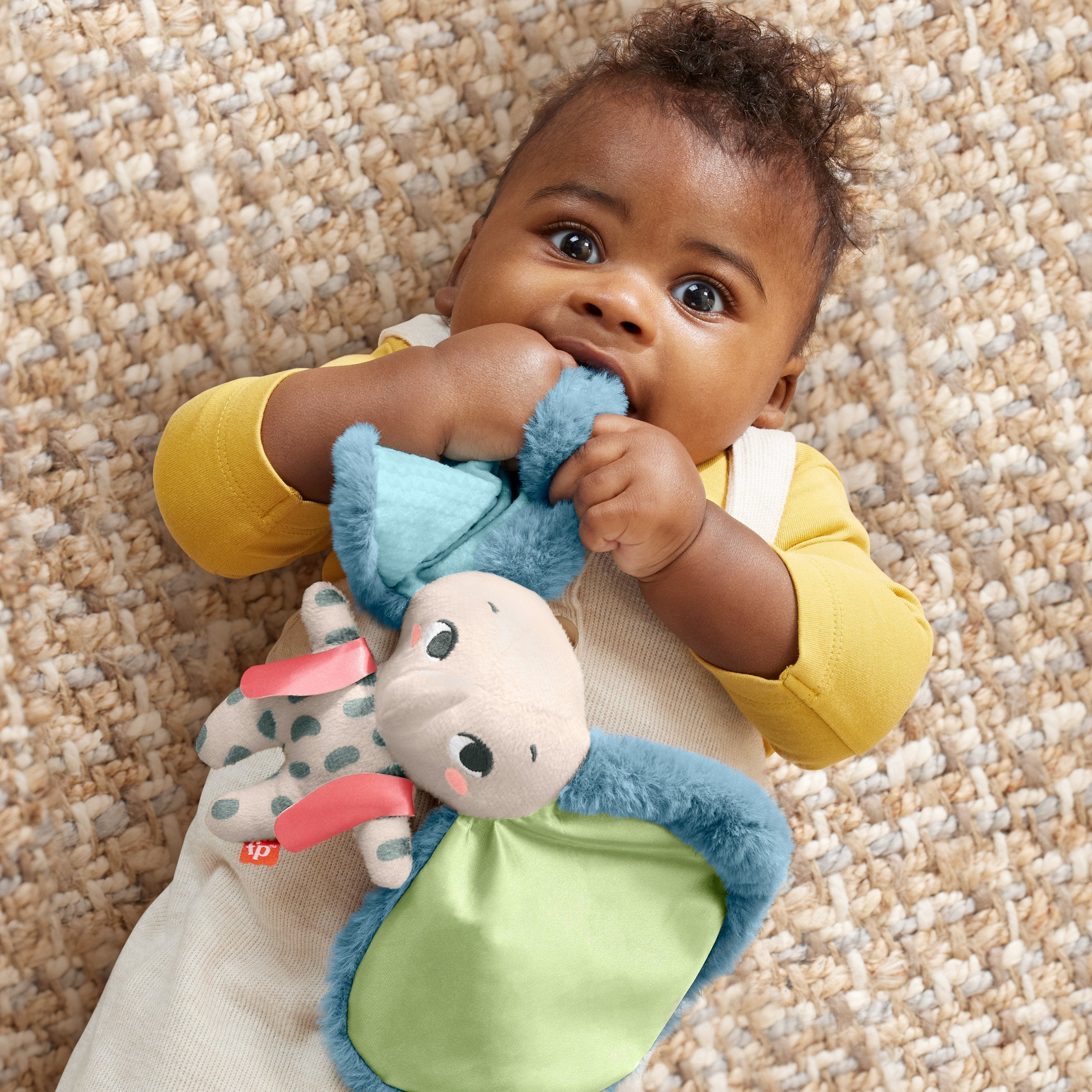 EAN 0194735101597 - Fisher-Price HKD63 juguete de peluche imagen 3