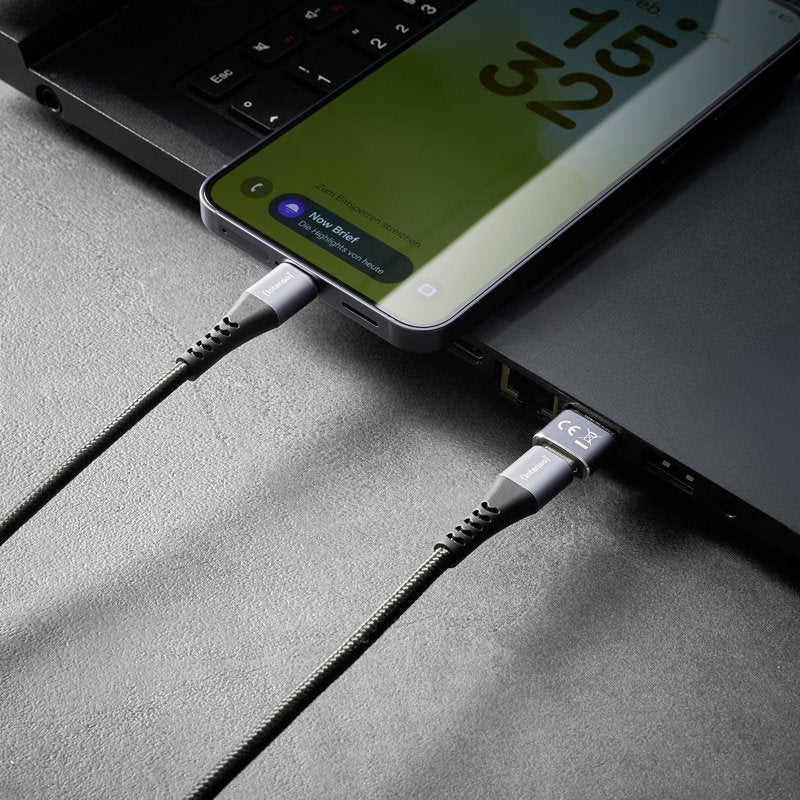 EAN 4034303038152 - Intenso 7600913 cambiador de género para cable Gris imagen 14