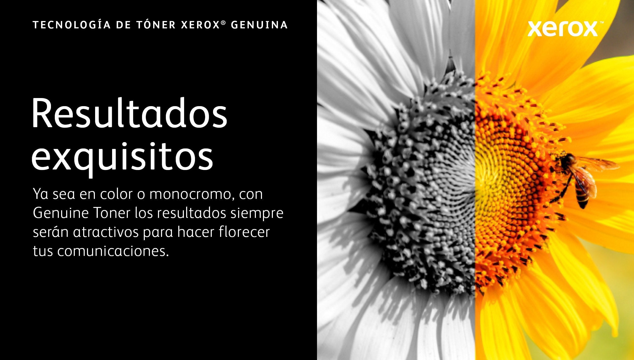 EAN 0095205862560 - Xerox 106R03862 cartucho de tóner 1 pieza(s) Original imagen 9