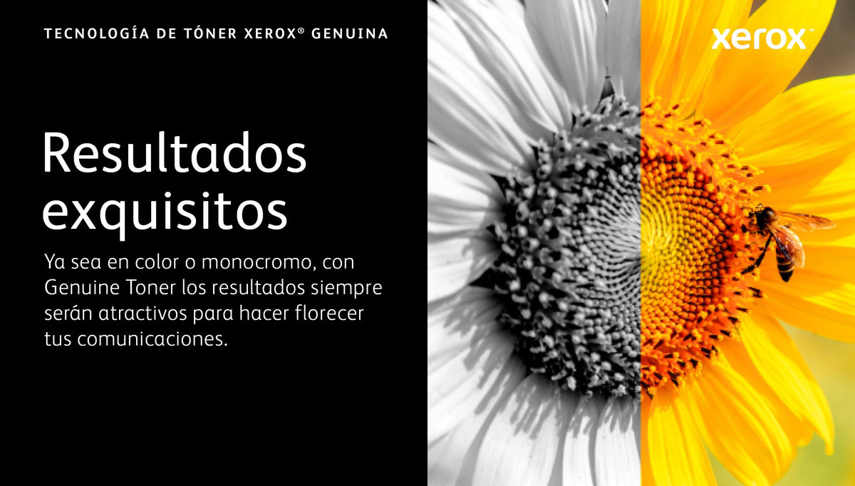EAN 0095205832570 - Xerox 106R03480 cartucho de tóner 1 pieza(s) Original imagen 9