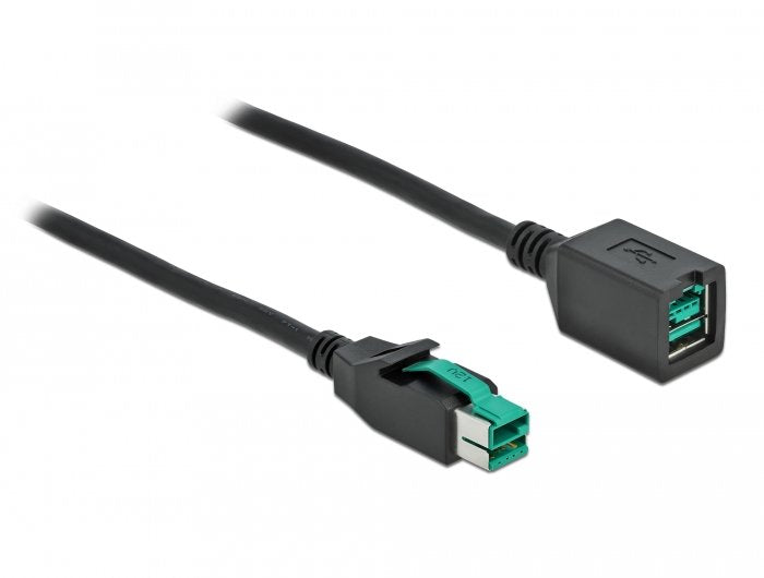 Delock Poweredusb Verlängerungscable 12 V 1 M