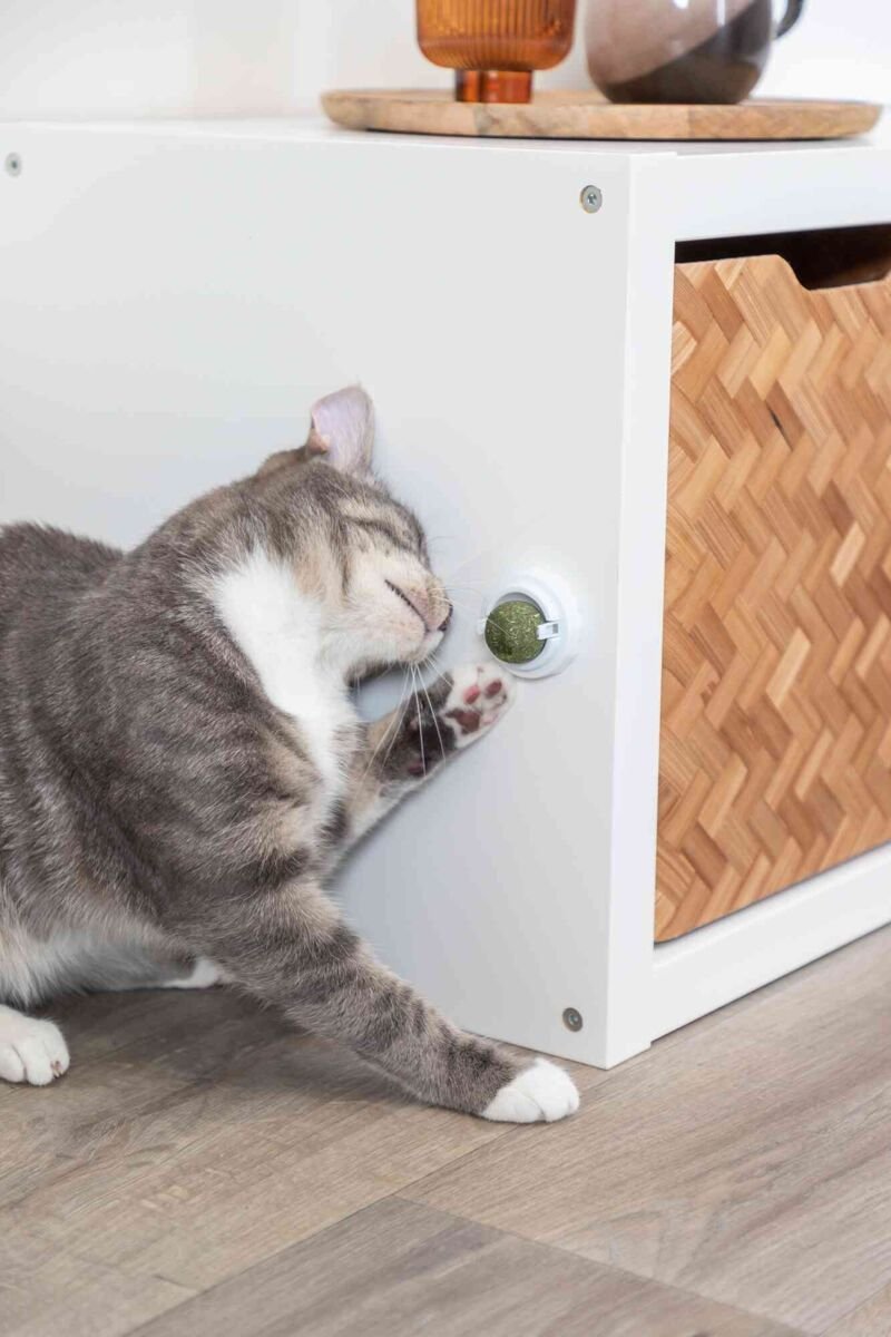 Juguete  Trixie Catnip Ball  Para Gato