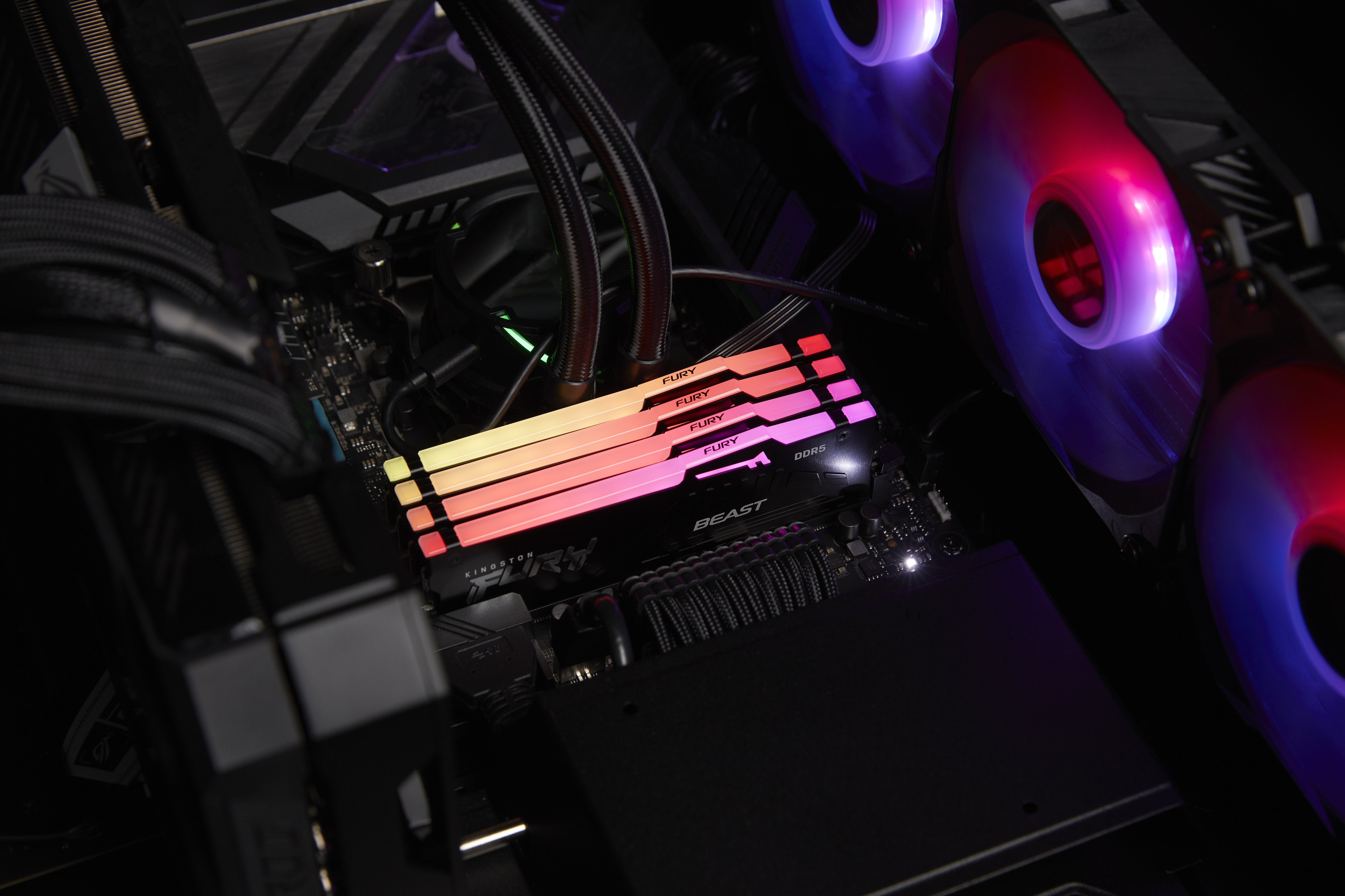 EAN 0740617331905 - Kingston Technology FURY Beast RGB módulo de memoria 2 x 8 GB 6000 MT/s 288-pin DIMM imagen 8