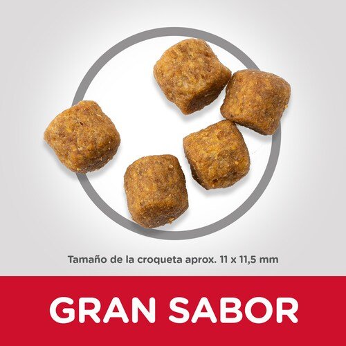 EAN 52742025278 - Hills 604287 comida seca para perros 2,5 kg Ternera, Cerdo imagen 2