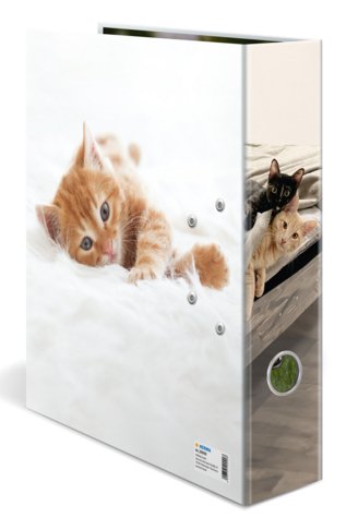 Herma Ordner A4 Karton Katze
