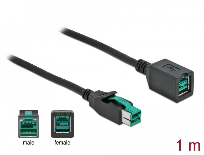 Delock Poweredusb Verlängerungscable 12 V 1 M