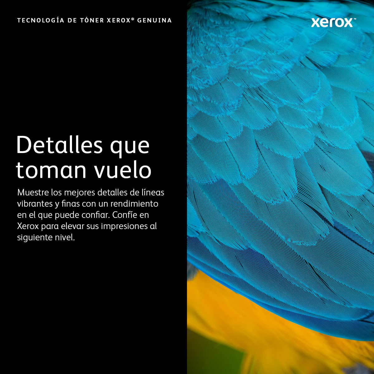 EAN 0095205866278 - Xerox 106R03932 cartucho de tóner 1 pieza(s) Original imagen 3