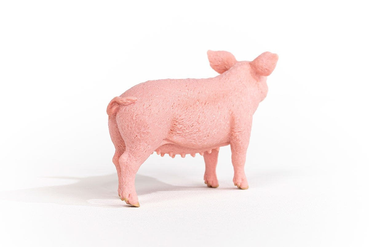 EAN 4059433358260 - schleich FARM WORLD 13933 figura de juguete para niños imagen 5