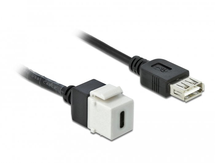Delock Keystone Modul Usb 2.0 C Buchse > Usb 2.0 A Buchse Mit Cable