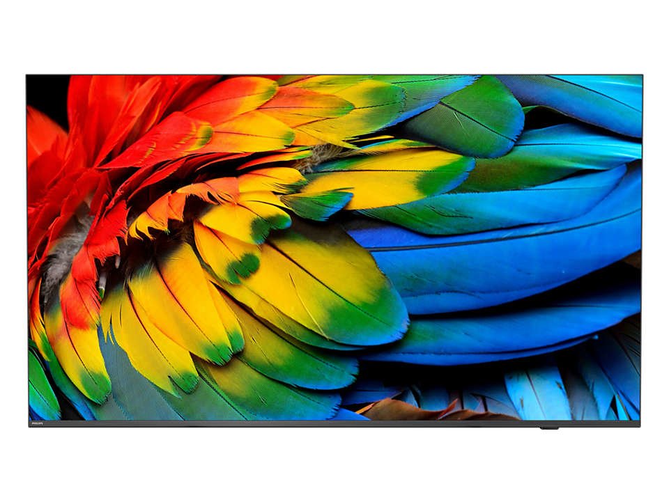 EAN 8718863030837 - Philips 50HFL6214U 127 cm (50") 4K Ultra HD Smart TV Wifi Antracita 400 cd / m² Pantalla flexible imagen 1