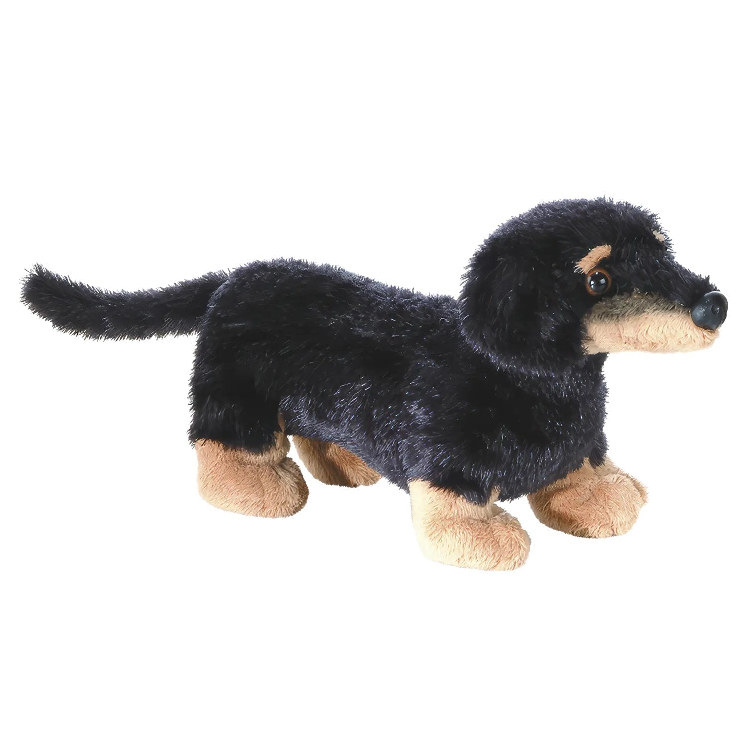 Aurora Mf Vienna Dachshund
