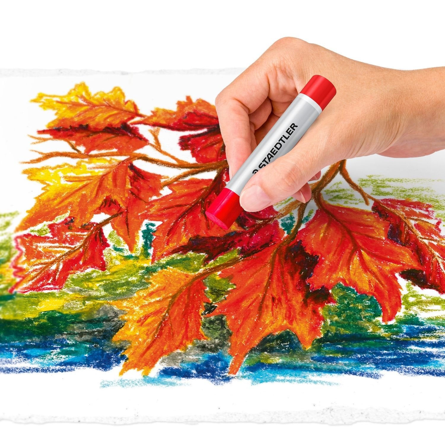 EAN 4006608200831 - Staedtler 2420 Pastel al óleo Multicolor 36 pieza(s) imagen 5