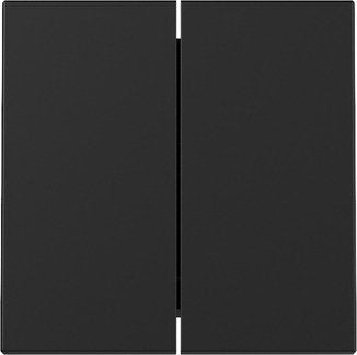 Gira 3295005 Placa De Pared Y Cubierta De Interruptor Negro