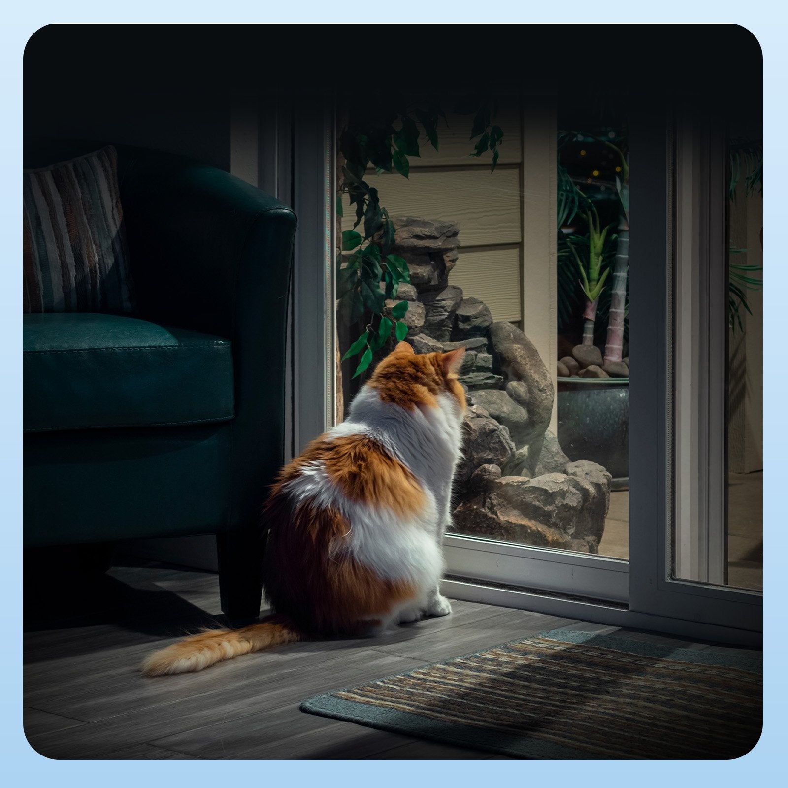 EAN 6941545642147 - EZVIZ H6c G1 3K Esférico Cámara de seguridad IP Interior 2880 x 1620 Pixeles Techo/Pared/Escritorio imagen 55