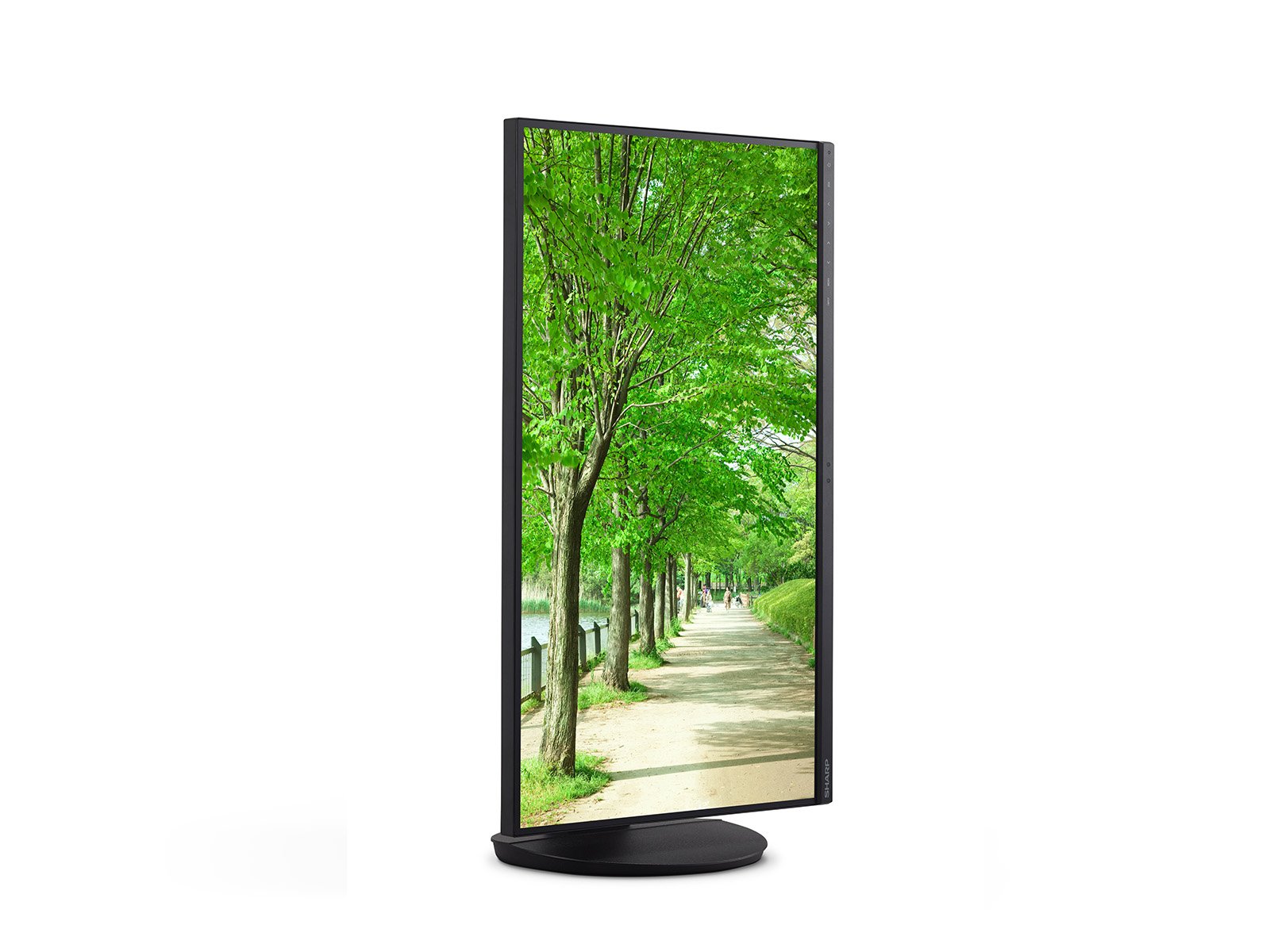27" Sharp Nec 2560x1440 Ips Monitor With Usb-C And Lan - Black